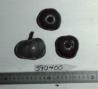 Click for 1 image(s) for this accession. FRUIT